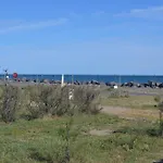 Camping Le Roucan West 3*