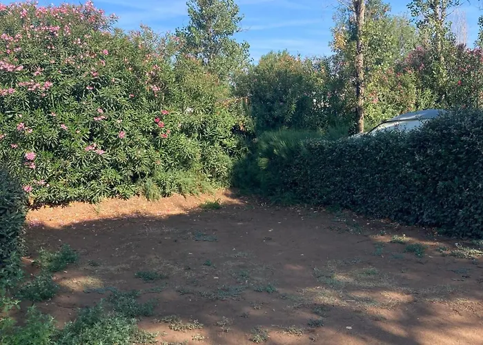 Le Roucan West 비아스